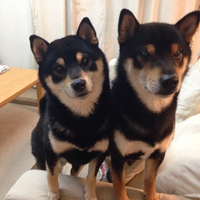 NBA球队季后赛经验分享，nba季后赛规则大全2021