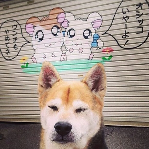 世界乒坛：新规实施后的技术变化趋势，世界乒乓球运动技术与战术发展趋势