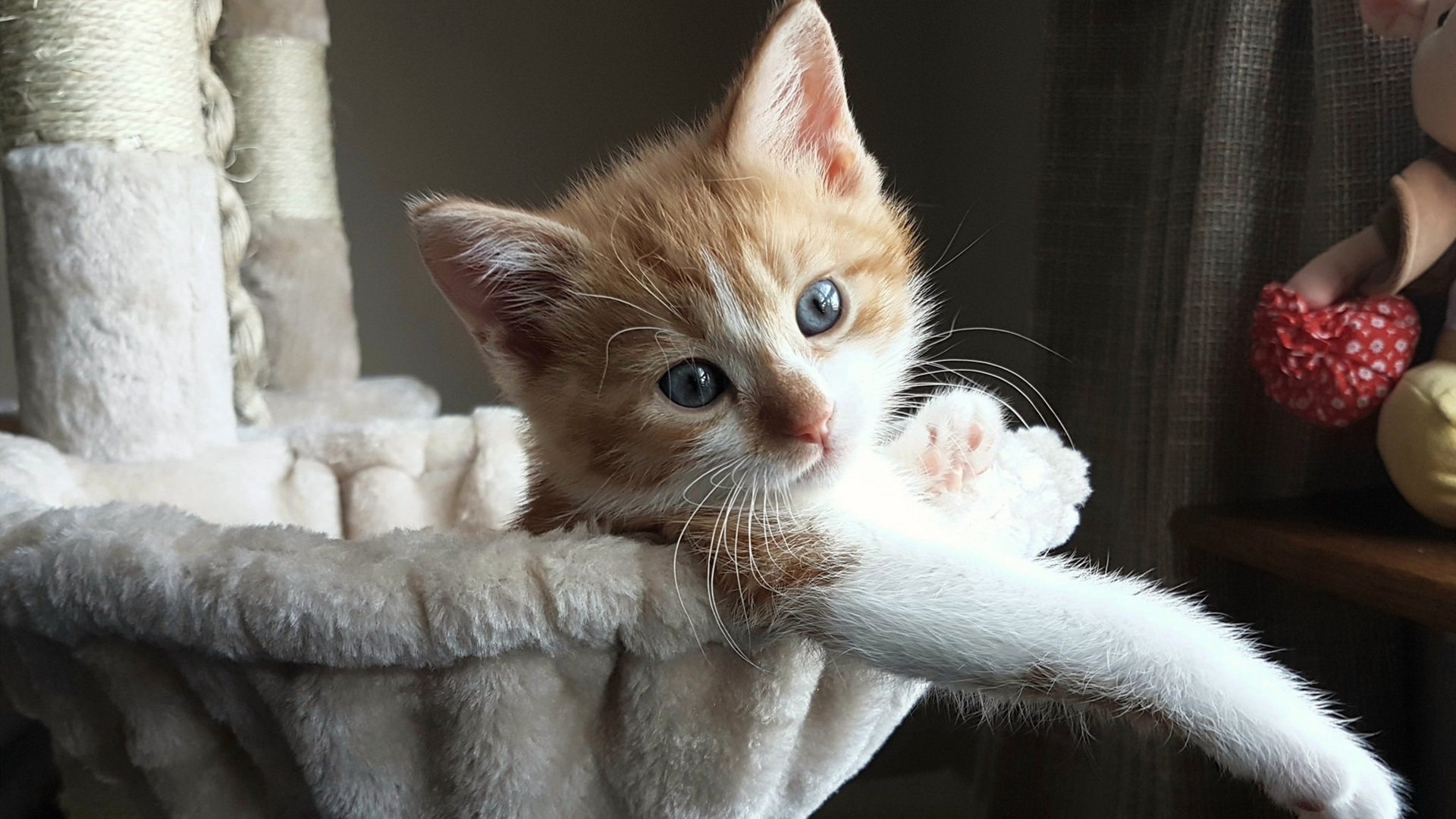 海湾者未来发展备受看好，潜力巨大，海湾技术