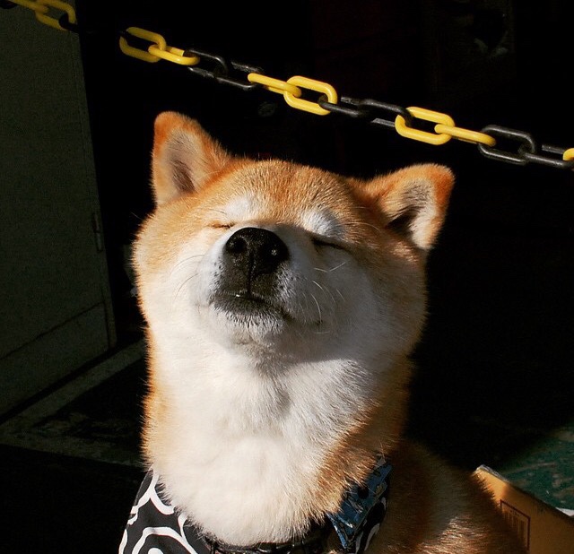 皇家马德里加强控球压制中场节奏，皇家马德里队形