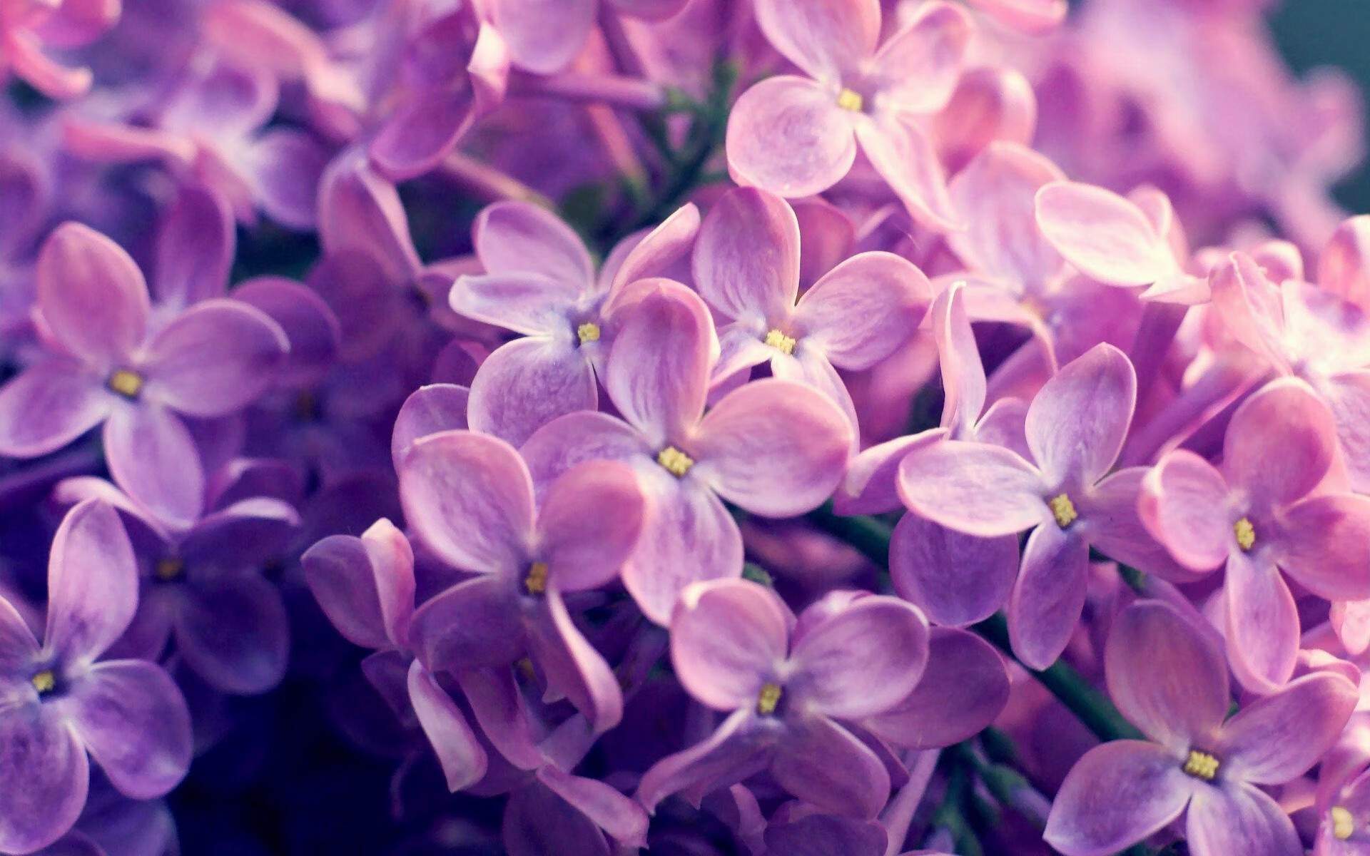 中国足球青年队参加国际友谊赛成果显著，中国青年足球锦标赛