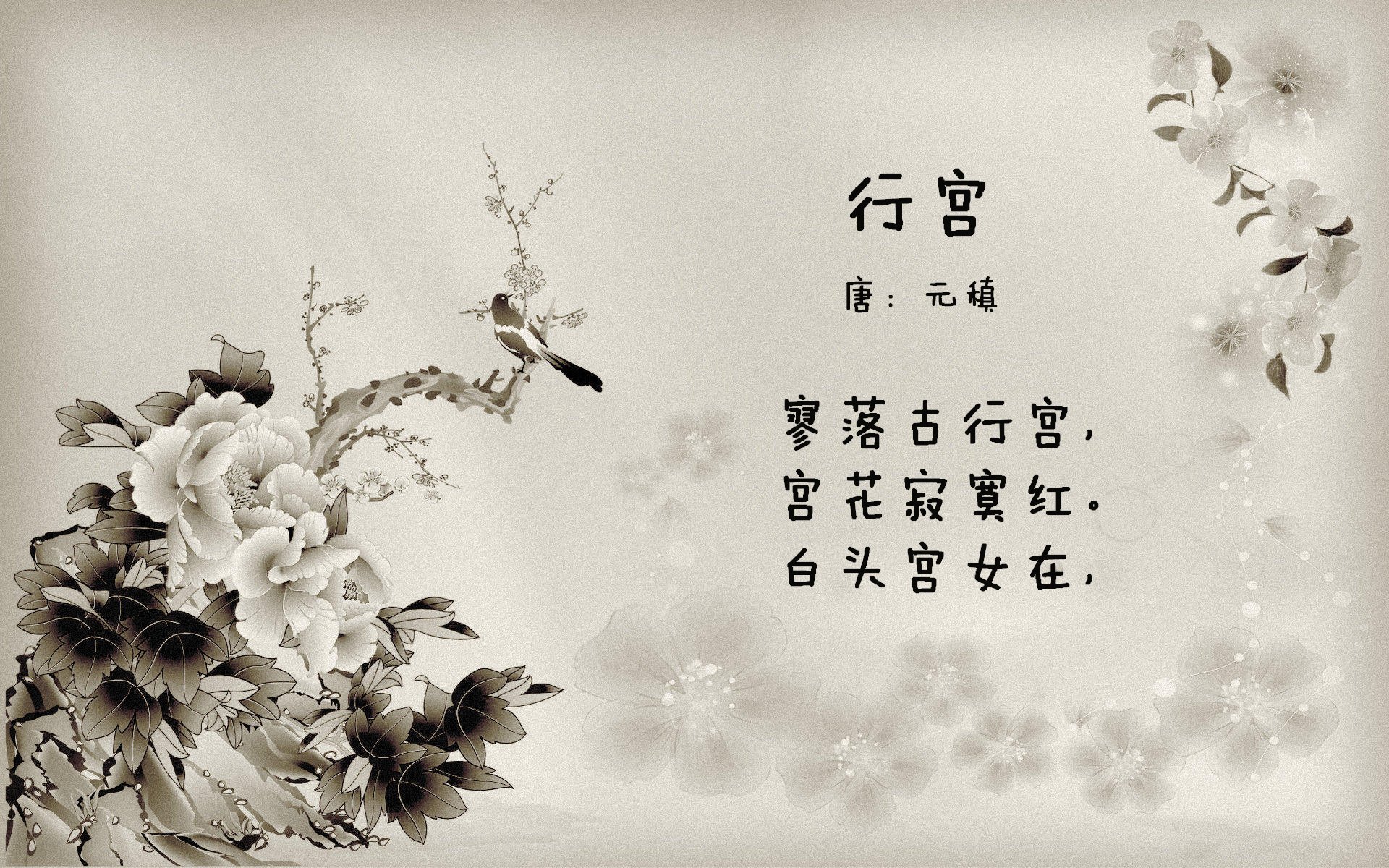 伊朗男篮在亚洲预赛中奋勇争先，迈向奥运的梦想舞台，伊朗队男篮