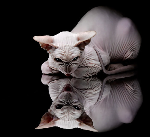 出发反应时间控制优于小组平均